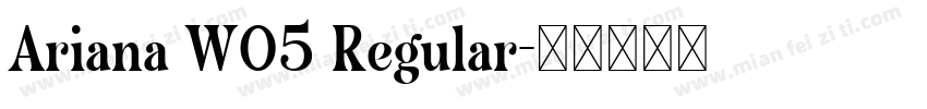 Ariana W05 Regular字体转换